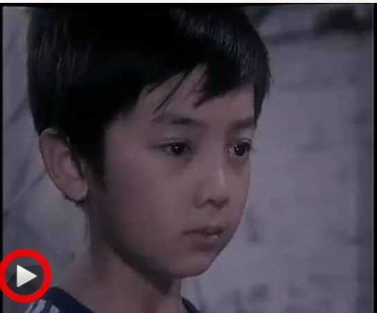 杨通