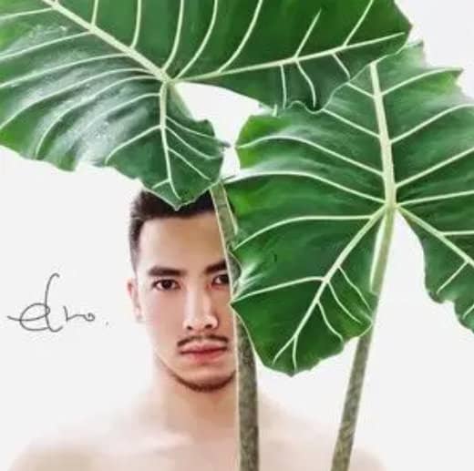 黄耀纬
