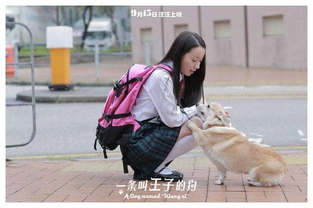 钟佳琪