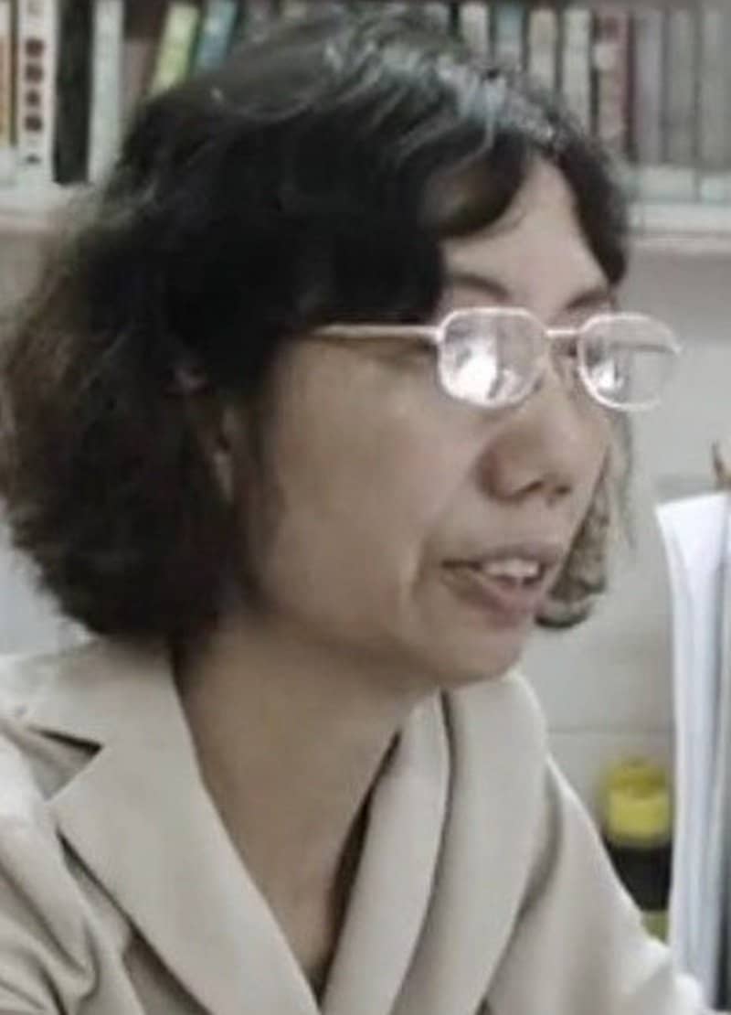 叶婉娴