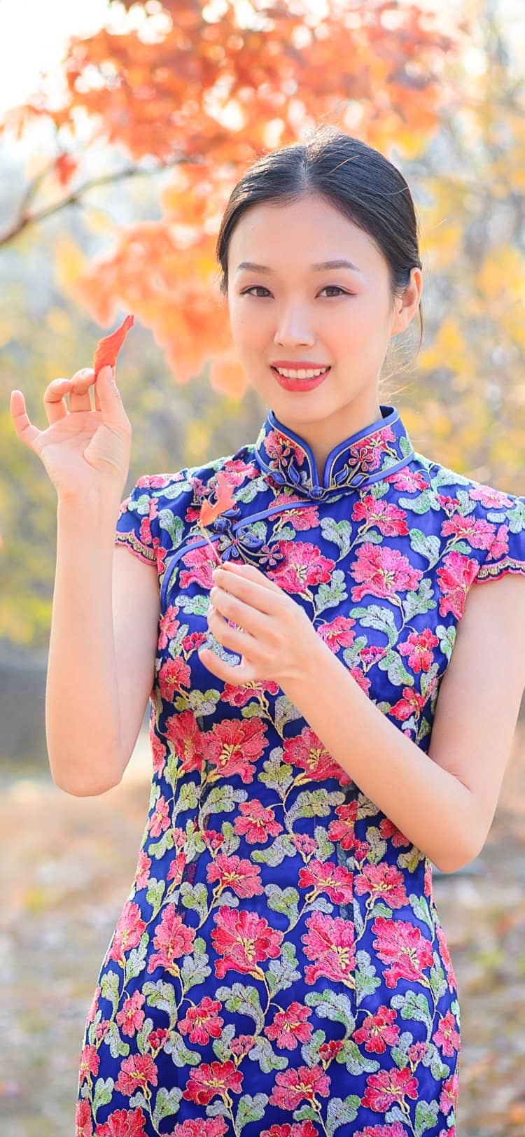 王玉凤