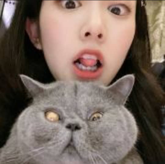 潘欣懿