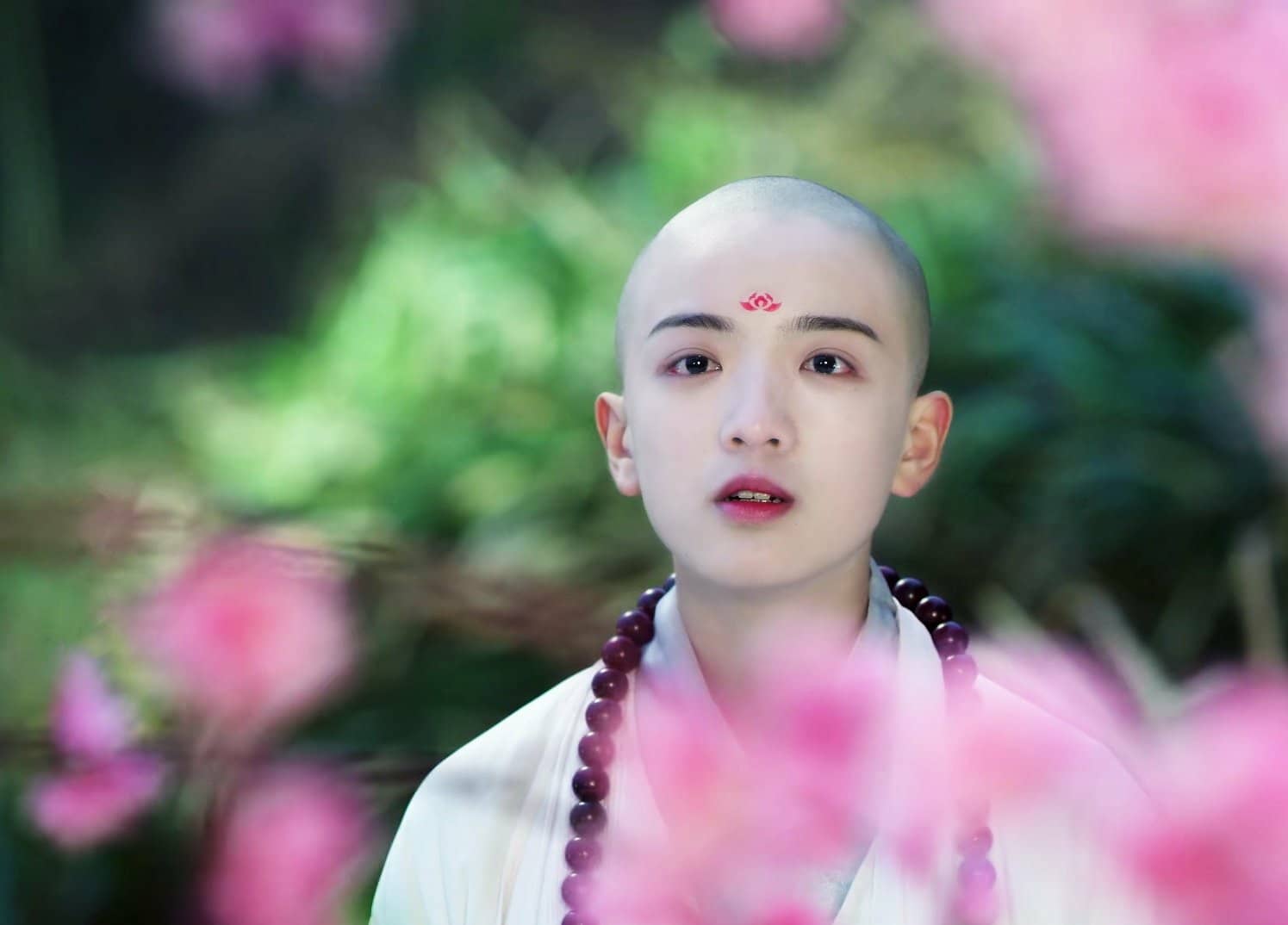 段智文