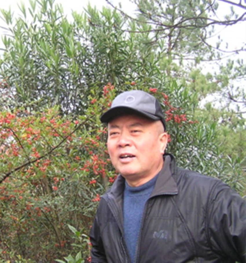 尼格木图