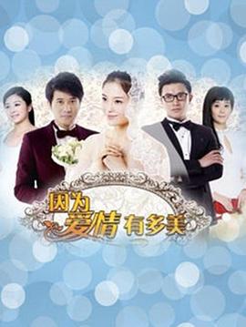 因为爱情有多美 DVD版