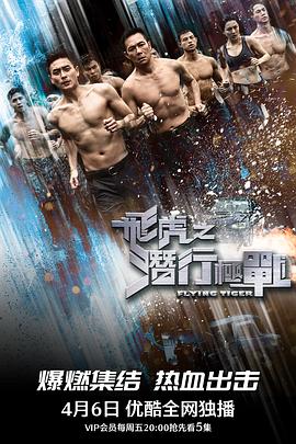 飞虎之潜行极战 国语