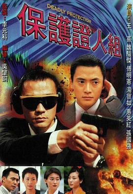 保护证人组 粤语