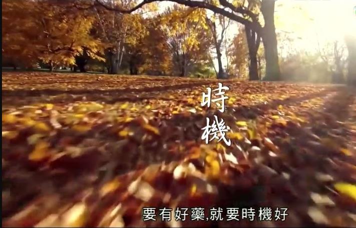 神奇百草游 粤语