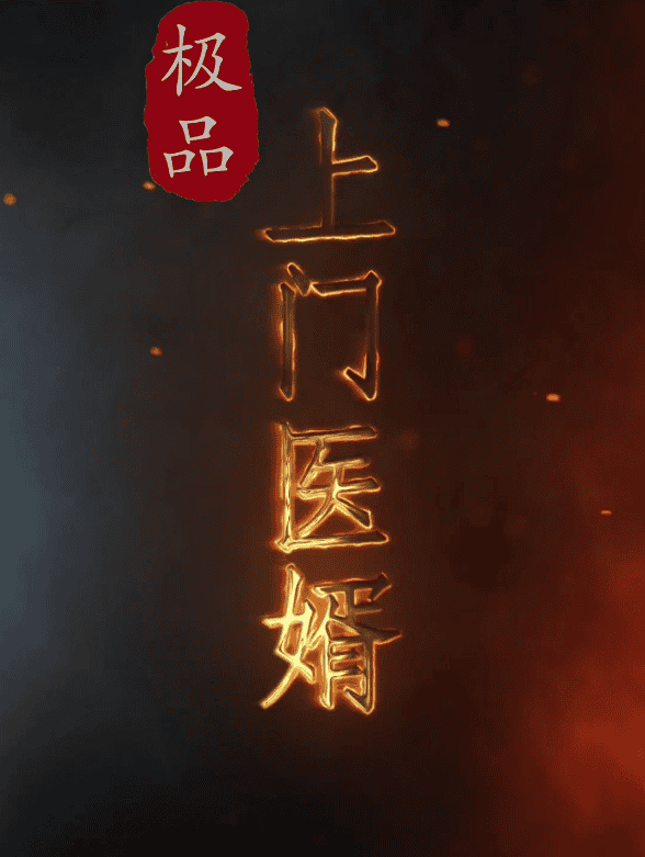 极品上门医婿