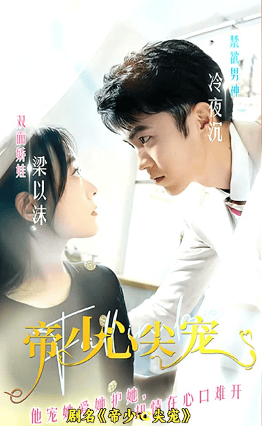 帝少心尖宠