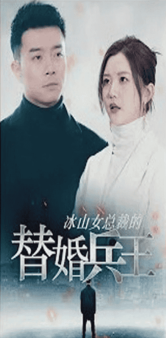 冰山女总裁的替婚兵王