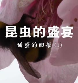 昆虫的盛宴 粤语