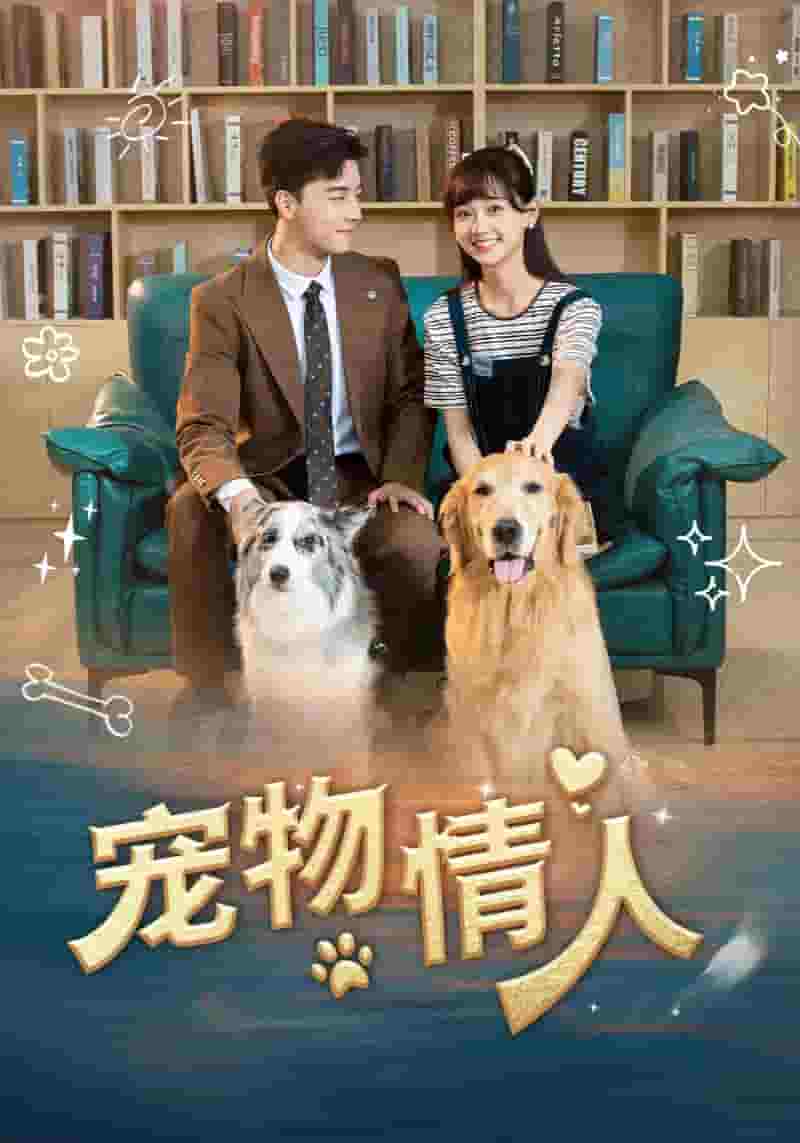 宠物情人短 剧版