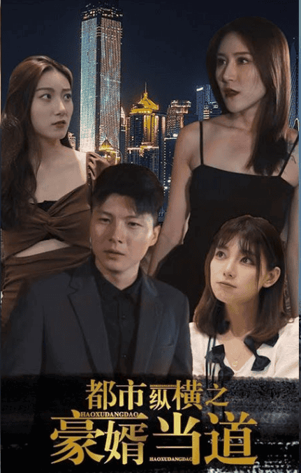 都市纵横之豪婿当道