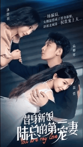 替身新娘:陆总的第一宠妻