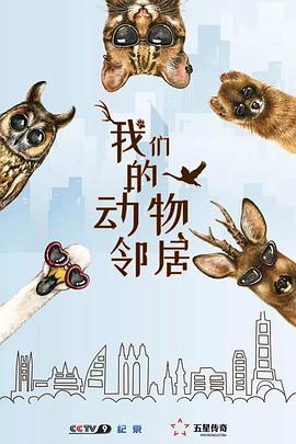我们的动物邻居 粤语